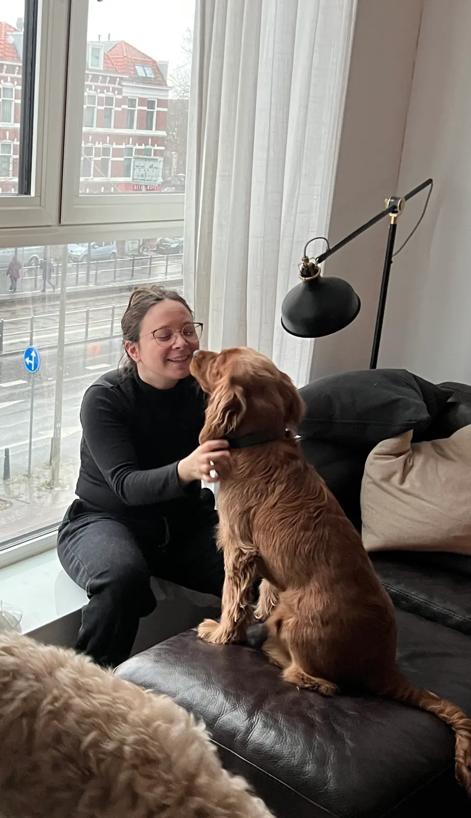 A relaxed husky lounging on a luxury beach chair
