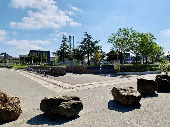 Happy Puppies outdoor space