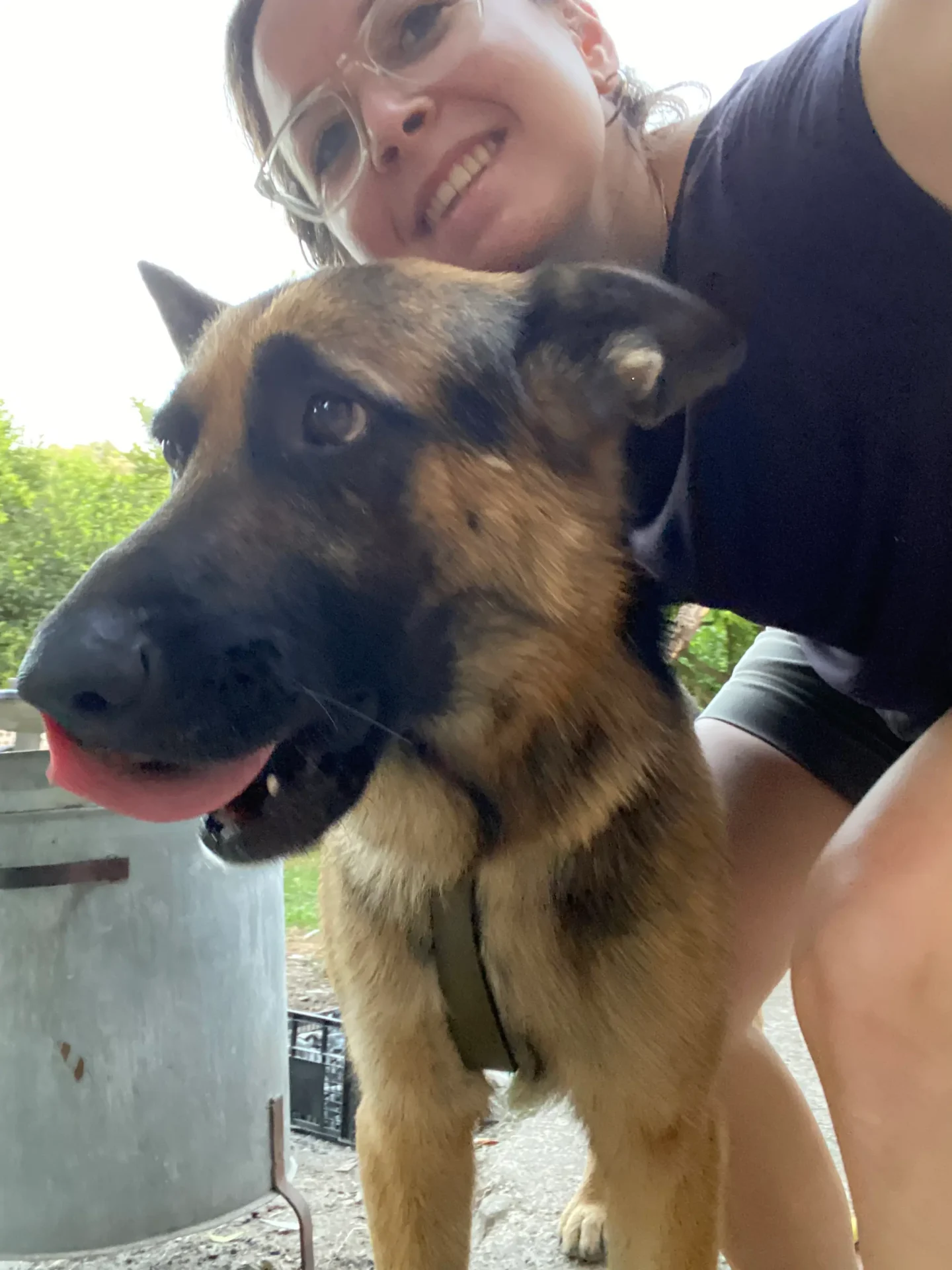 Pinky — German Shepherd