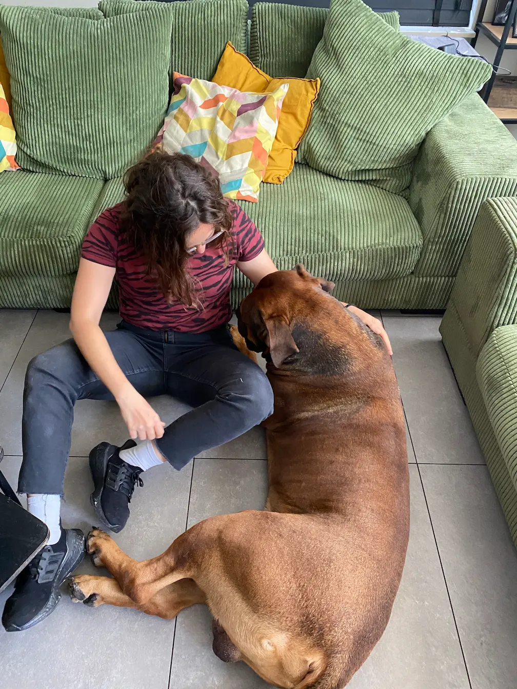 Atlas — Rhodesian Ridgeback