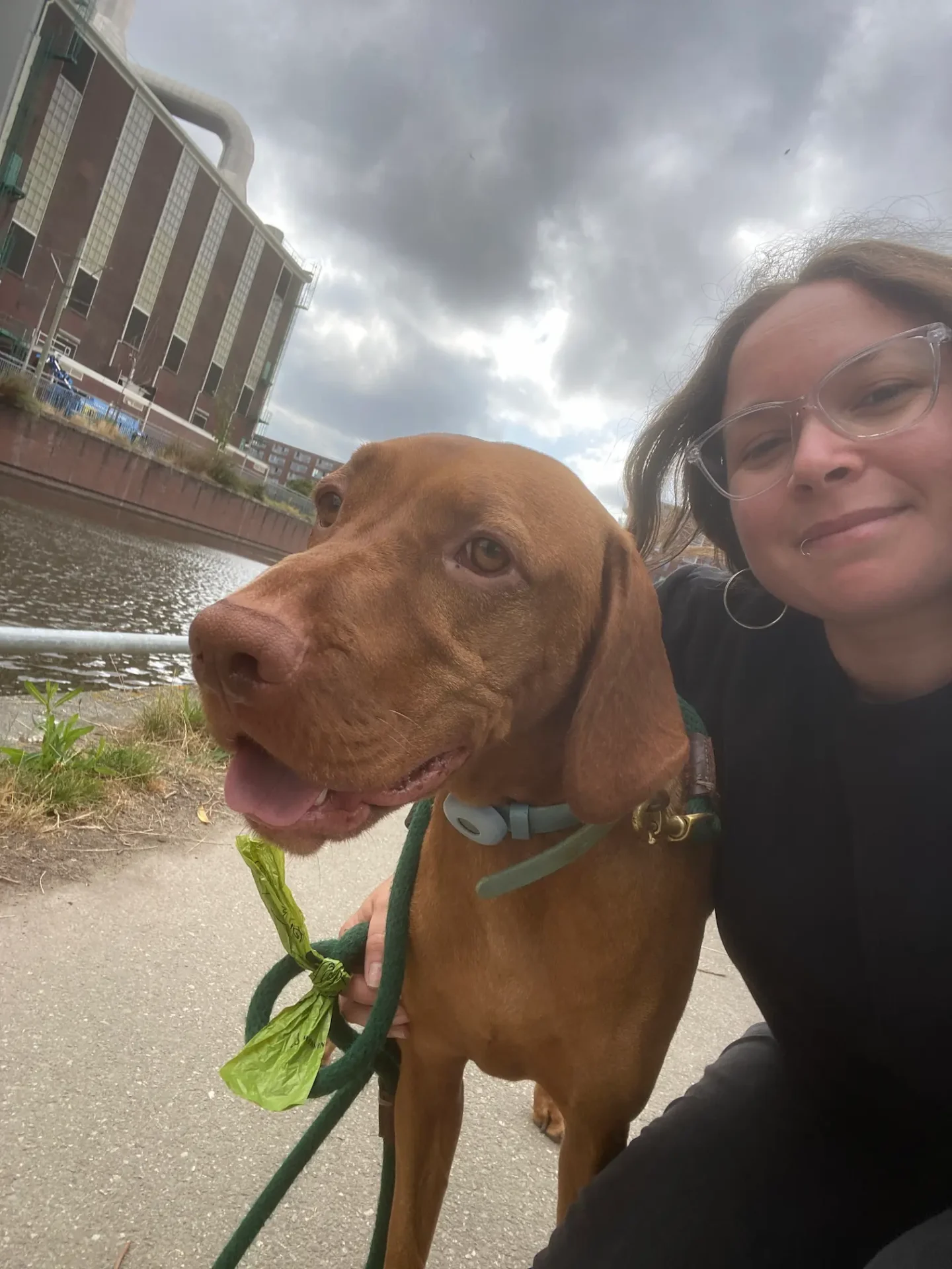 Río — Vizsla